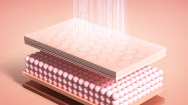 SMAS layer lifting fat cell death